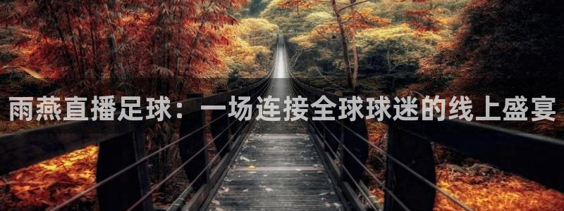 乐球吧直播：雨燕直播足球：一场连接全球球迷的线上盛宴