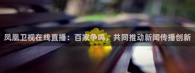 乐球直播无插件高清cba：凤凰卫视在线直播：百家争鸣，共同推动新闻传播创新