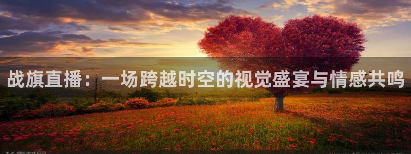 乐球直播免费观看全部：战旗直播：一场跨越时空的视觉盛宴与情感共鸣