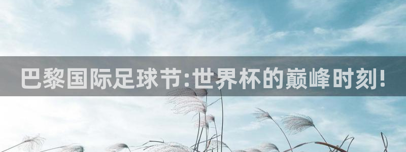 360直播乐球：巴黎国际足球节:世界杯的巅峰时刻!