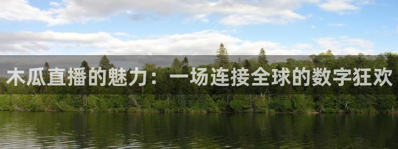 乐球吧在线直播：木瓜直播的魅力：一场连接全球的数字狂欢