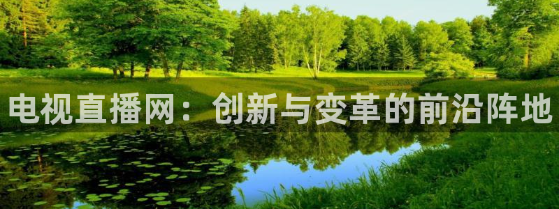 乐球直播免费观看高清版2023：电视直播网：创新与变革的前沿阵地