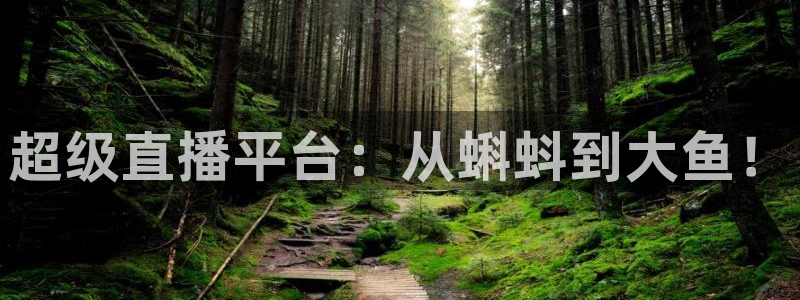 乐球直播体育直播nba：超级直播平台：从蝌蚪到大鱼！