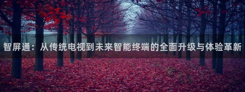 直播乐球：智屏通：从传统电视到未来智能终端的全面升级与体验革新