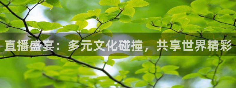 乐球直播免费体育直播在线直播：直播盛宴：多元文化碰撞，共享世界精彩
